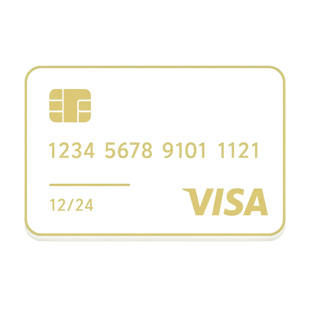 Visa payment icon